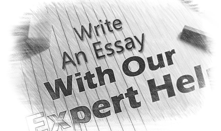Choose a trusted essay writing service